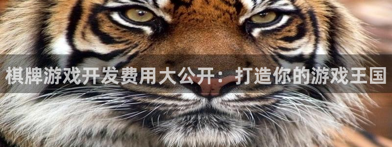 沐鸣2平台主管