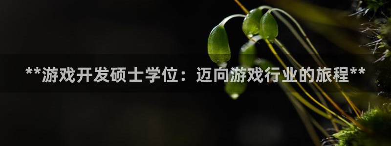 沐鸣娱乐2登录平台官网网址