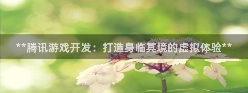 沐鸣娱乐2代理