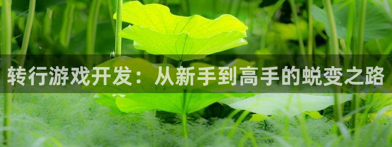沐鸣2登录测试：转行游戏开发：从新手到高手的蜕变之路