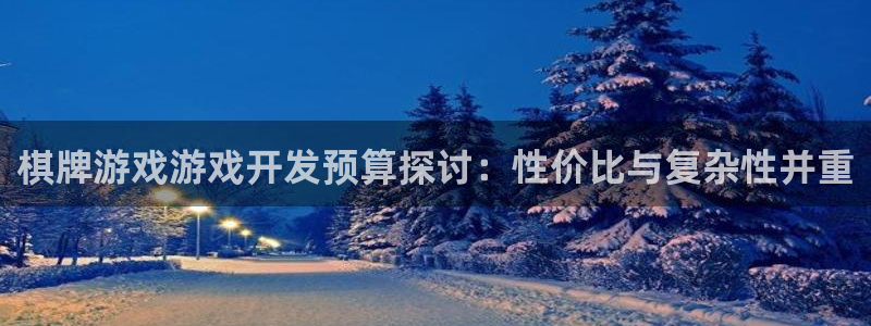 沐鸣娱乐2登陆不上怎么办：棋牌游戏游戏开发预算探讨：性价比与复杂性并重