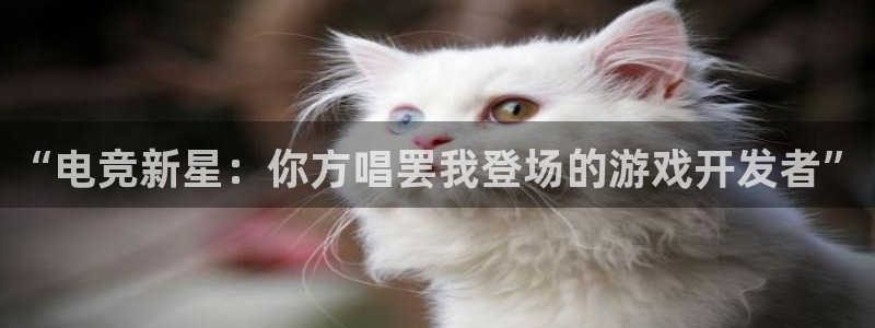 沐鸣2注册首页：“电竞新星：你方唱罢我登场的游戏开发者”