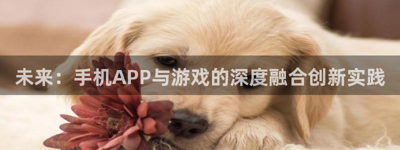沐鸣2注册登入：未来：手机APP与游戏的深度融合创新实践