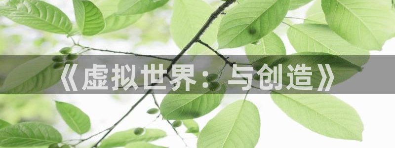 沐鸣2注册登入：《虚拟世界：与创造》