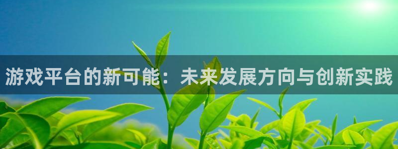 沐鸣娱乐2注册官网：游戏平台的新可能：未来发展方向与创新实践